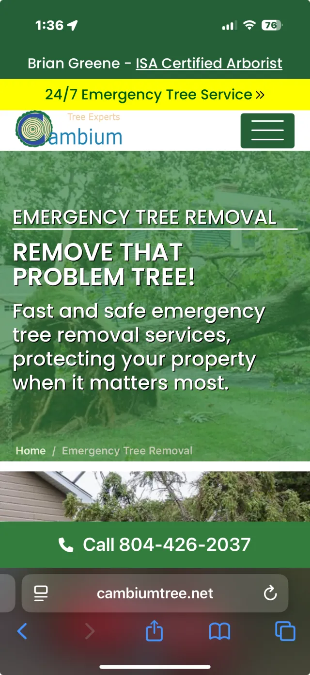 Cambium Tree mobile website — view 5