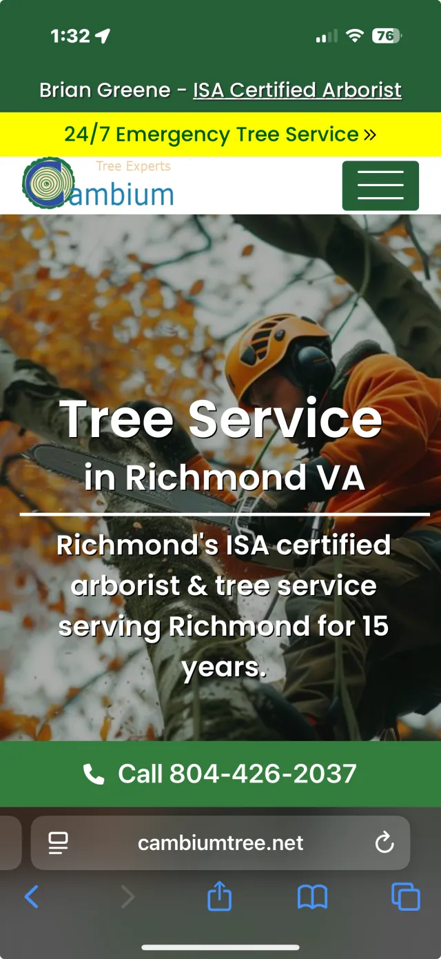 Cambium Tree mobile website — view 6