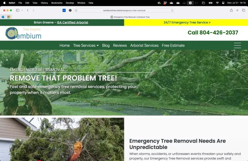 Cambium Tree Emergency Tree Service