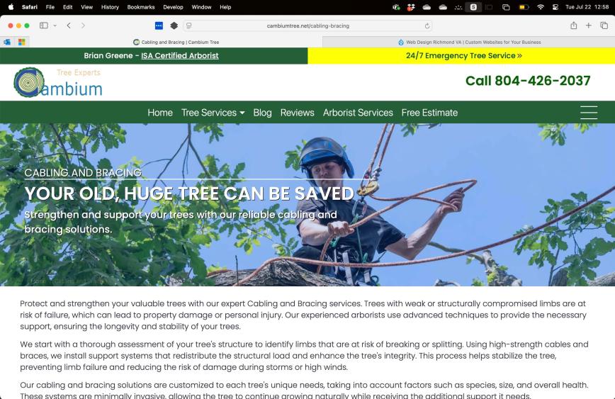 Cambium Tree Healthy Trees